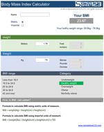 adding body mass index calculator into excel